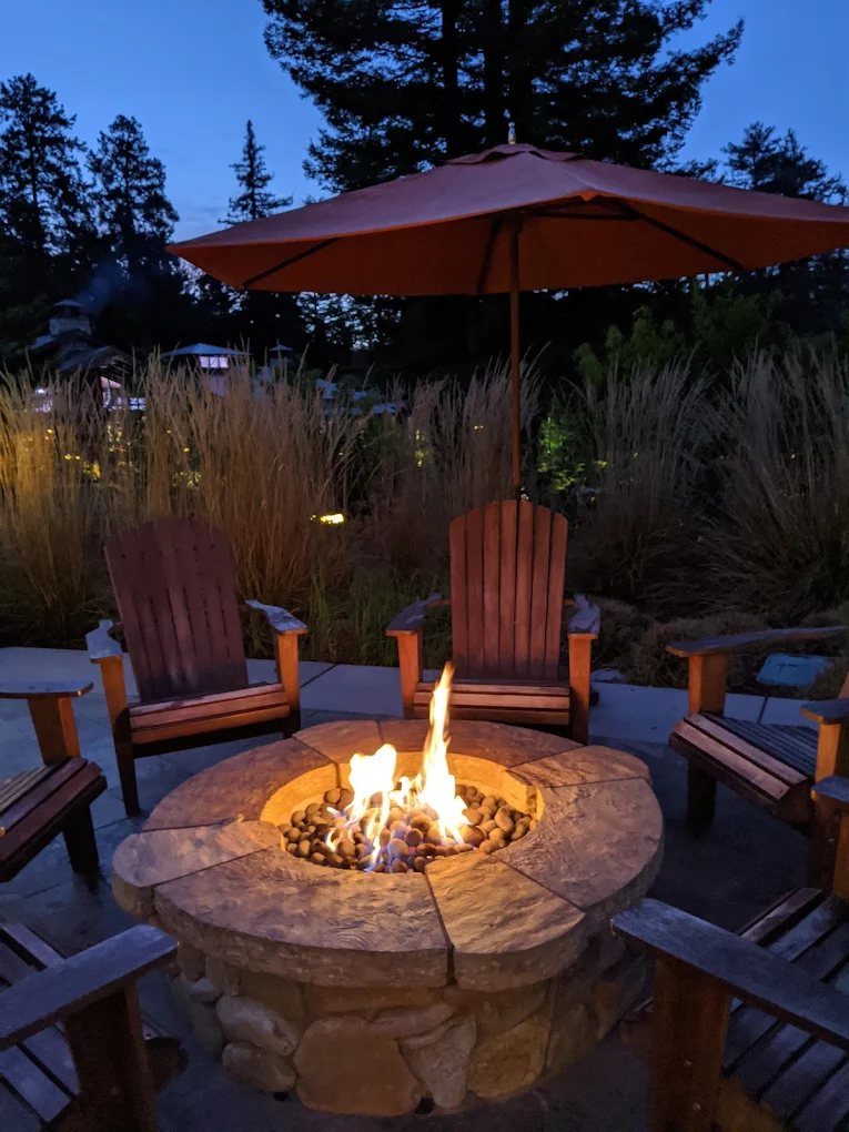 A fire pit among the trees