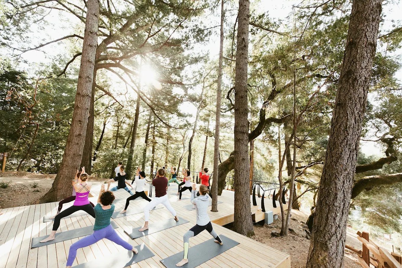 A yoga deck beneath the redwoods
