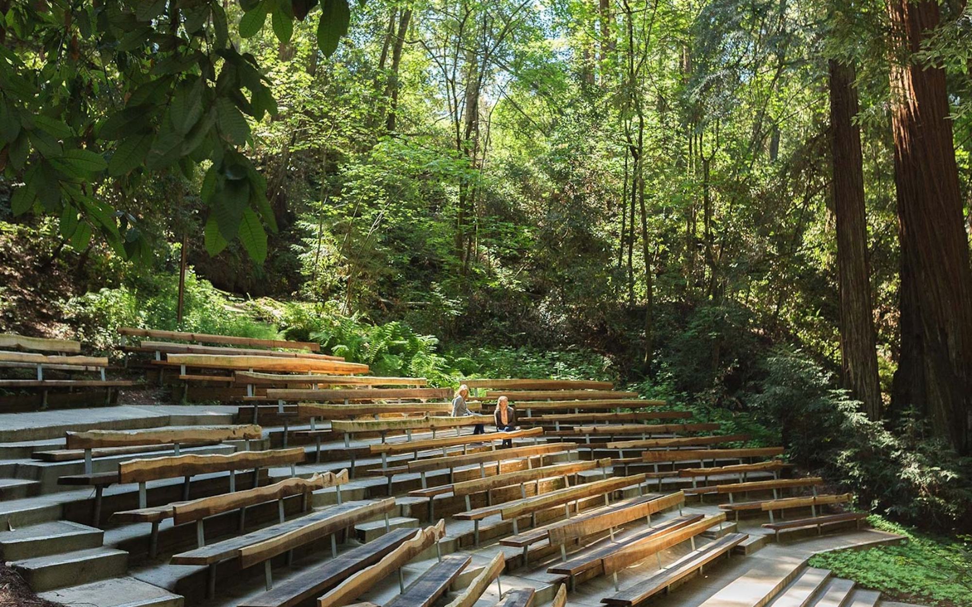 The amphitheatre among the redwoods at 1440 Multiversity
