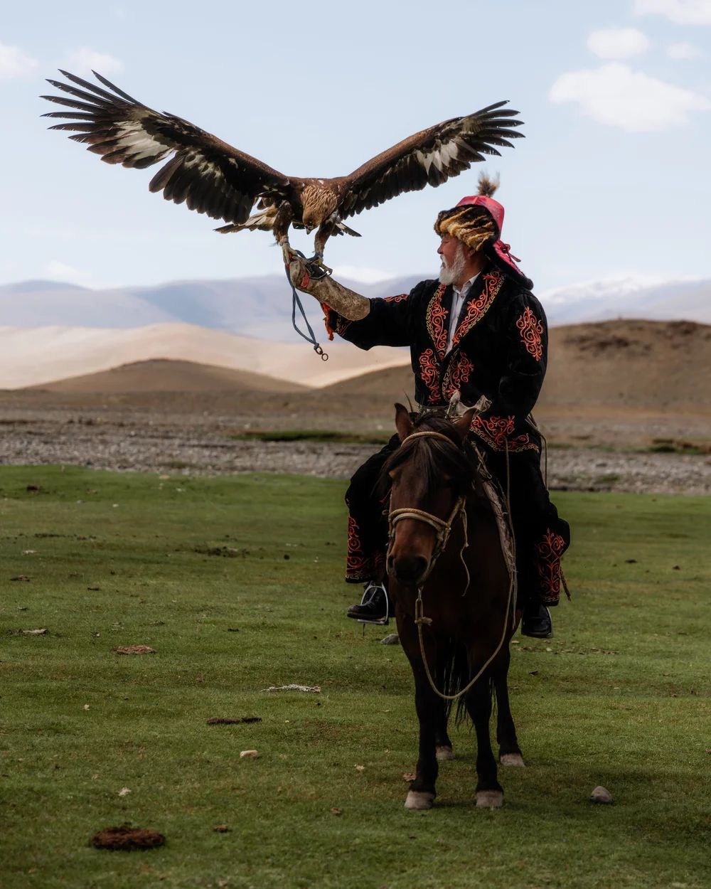 An eagle landing on the hunter’s arm