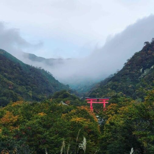 A torii gate in the mist
