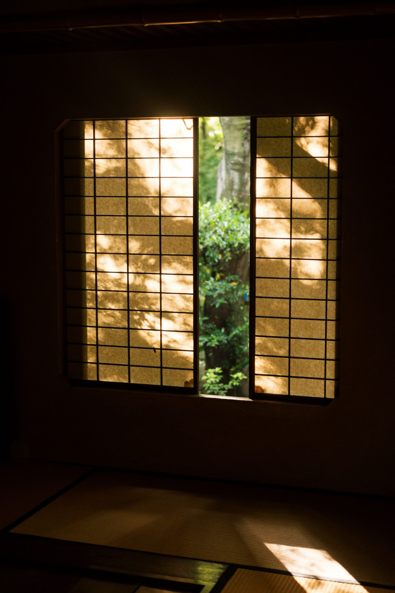 Light through a shoji window