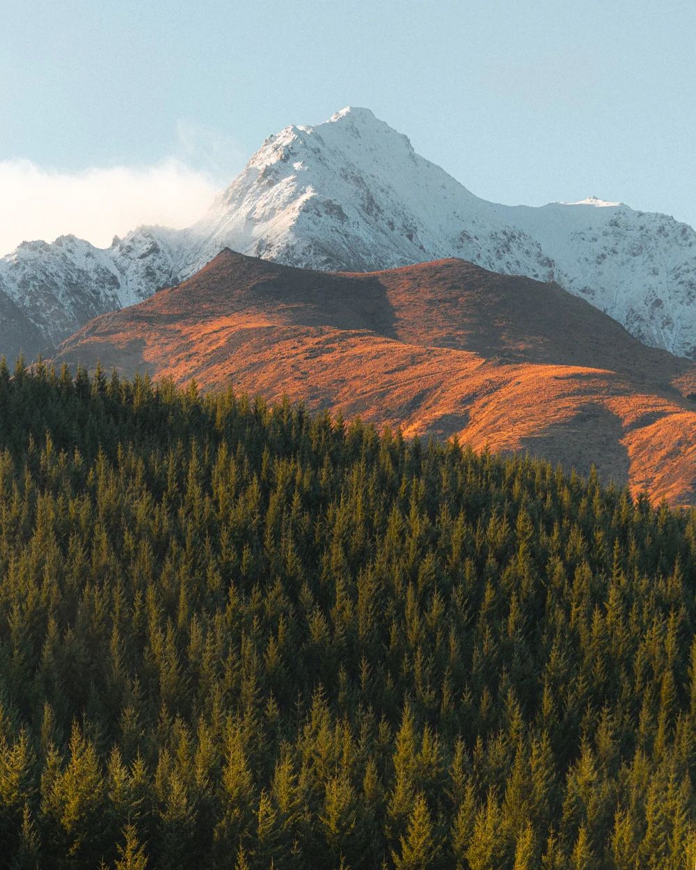 New Zealand