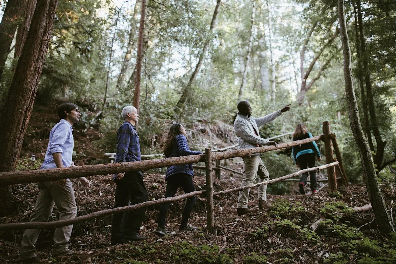 A group walking together among the redwoods