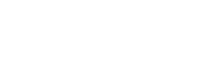 Insight Partners