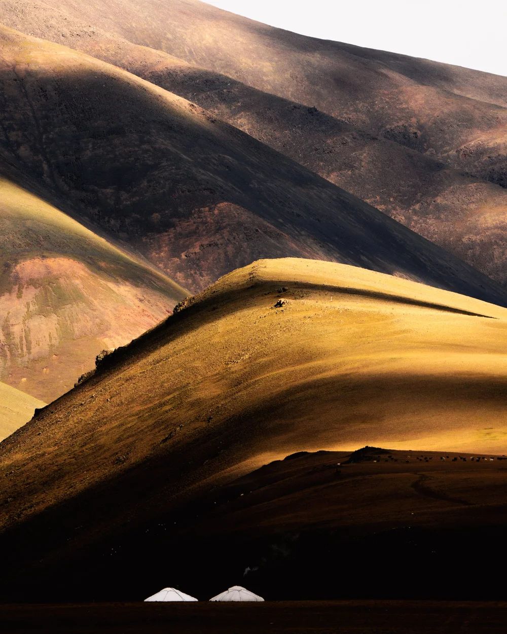 Two gers beneath a sunlit hillside