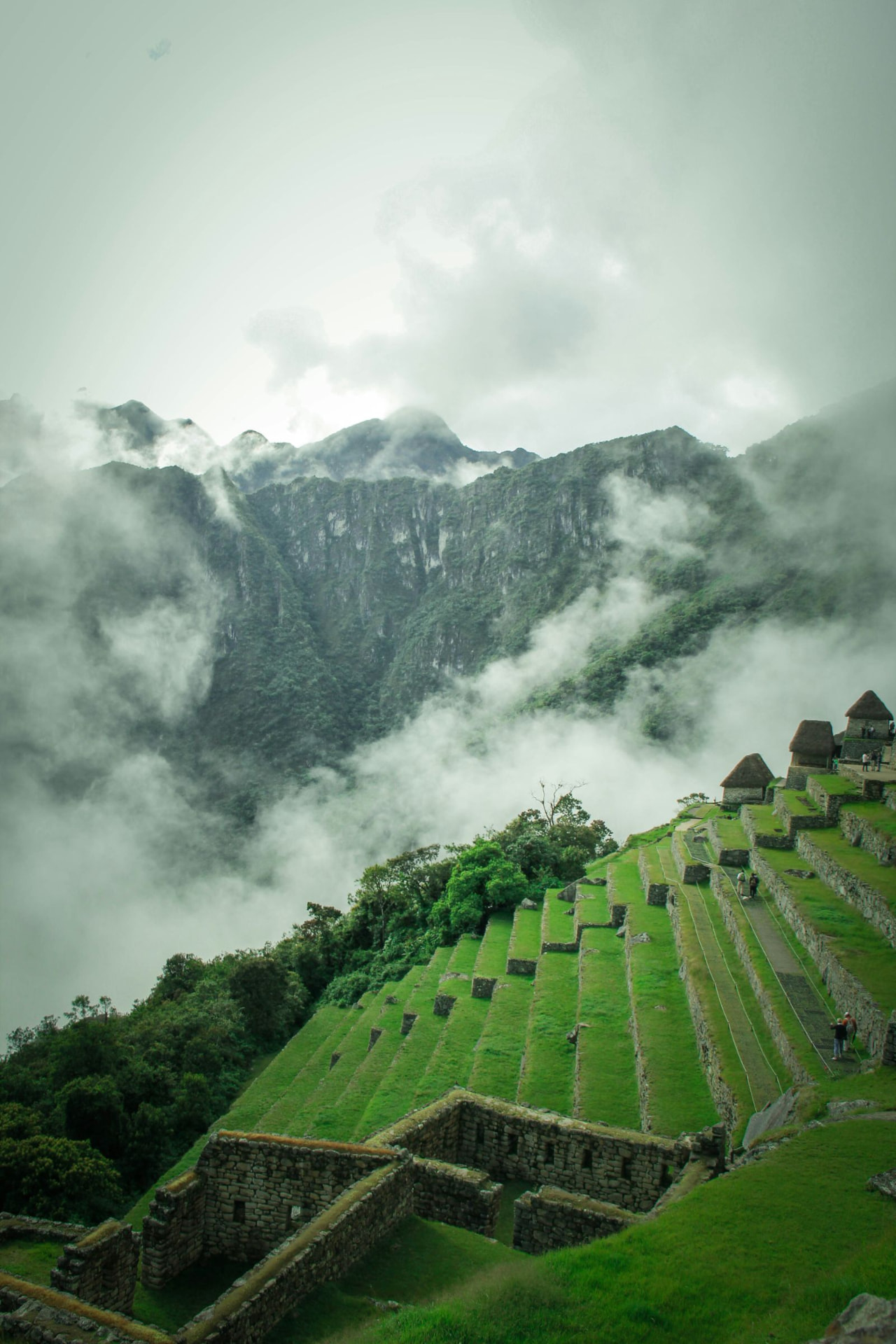 Misty terraces at Machu Picchu