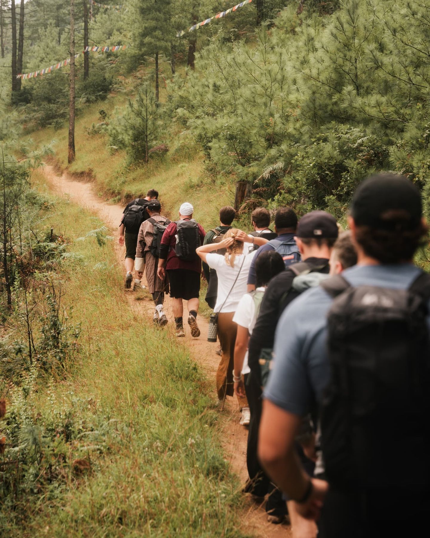An Abroad group walking a forest trail in Bhutan